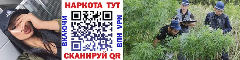 Где продают наркотики Новоржев APVP Меф Гашиш МАРИХУАНА Кокаин