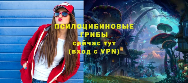 сатива Богданович