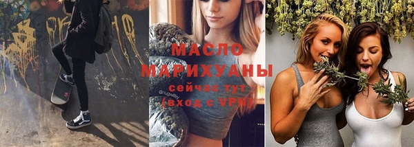 мдпв Бородино