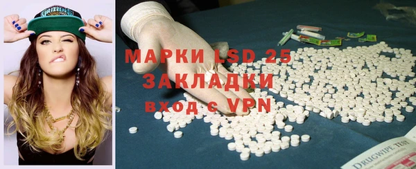 прущие грибы Верея