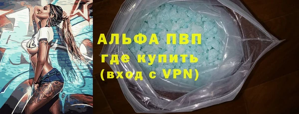 мдпв Бородино