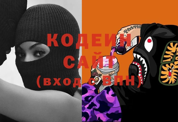 мдпв Бородино