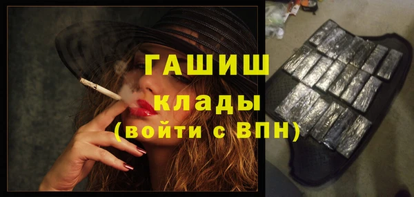 прущие грибы Верея